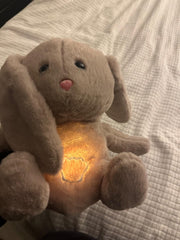 Hushby the Bunny - ZZZLY