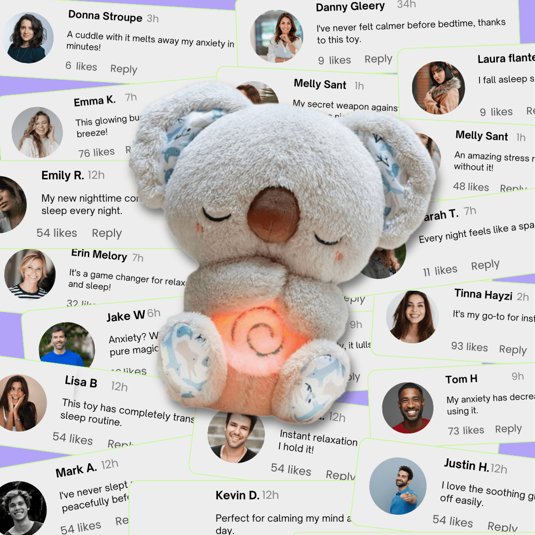 Kuddle the Koala - ZZZLY