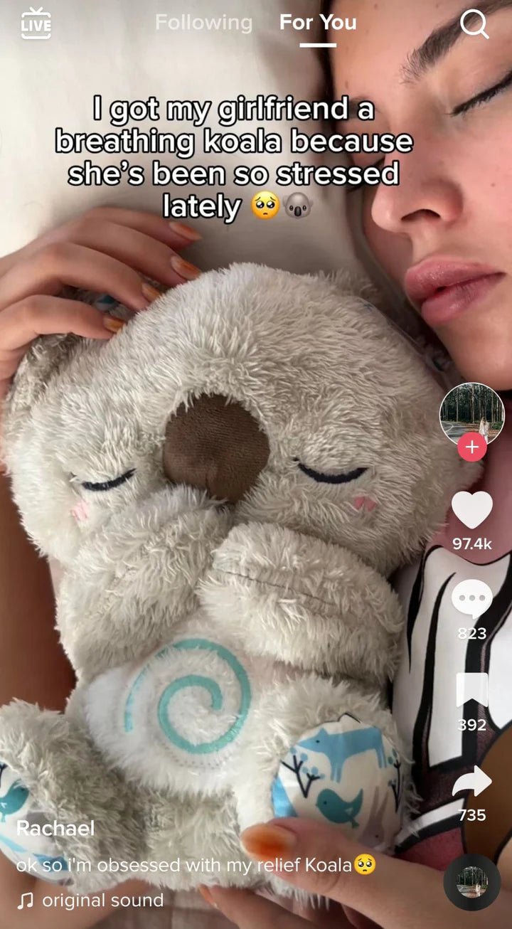 Kuddle the Koala - ZZZLY